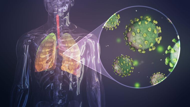 Digital illustration of a human with a transparent body and model of coloured lungs inside with coronavirus particle models.