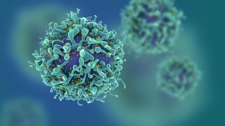 Illustration of T cells