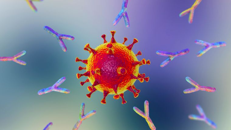 Illustration of antibodies attacking SARS-CoV-2 virus