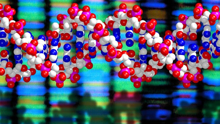 A DNA molecule is illustrated, showing the molecular components. In the background are a row of bars representing the DNA sequencing process.